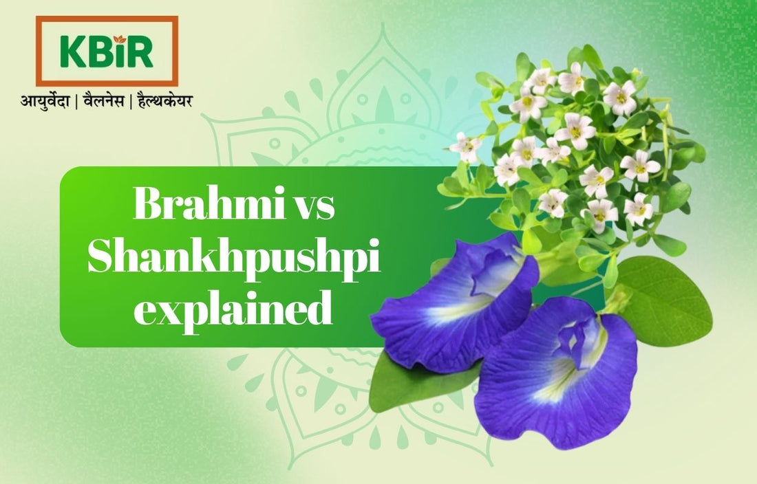 Brahmi vs Shankhpushpi: Which Ayurvedic Brain Herb is Best for Memory &amp; Focus?