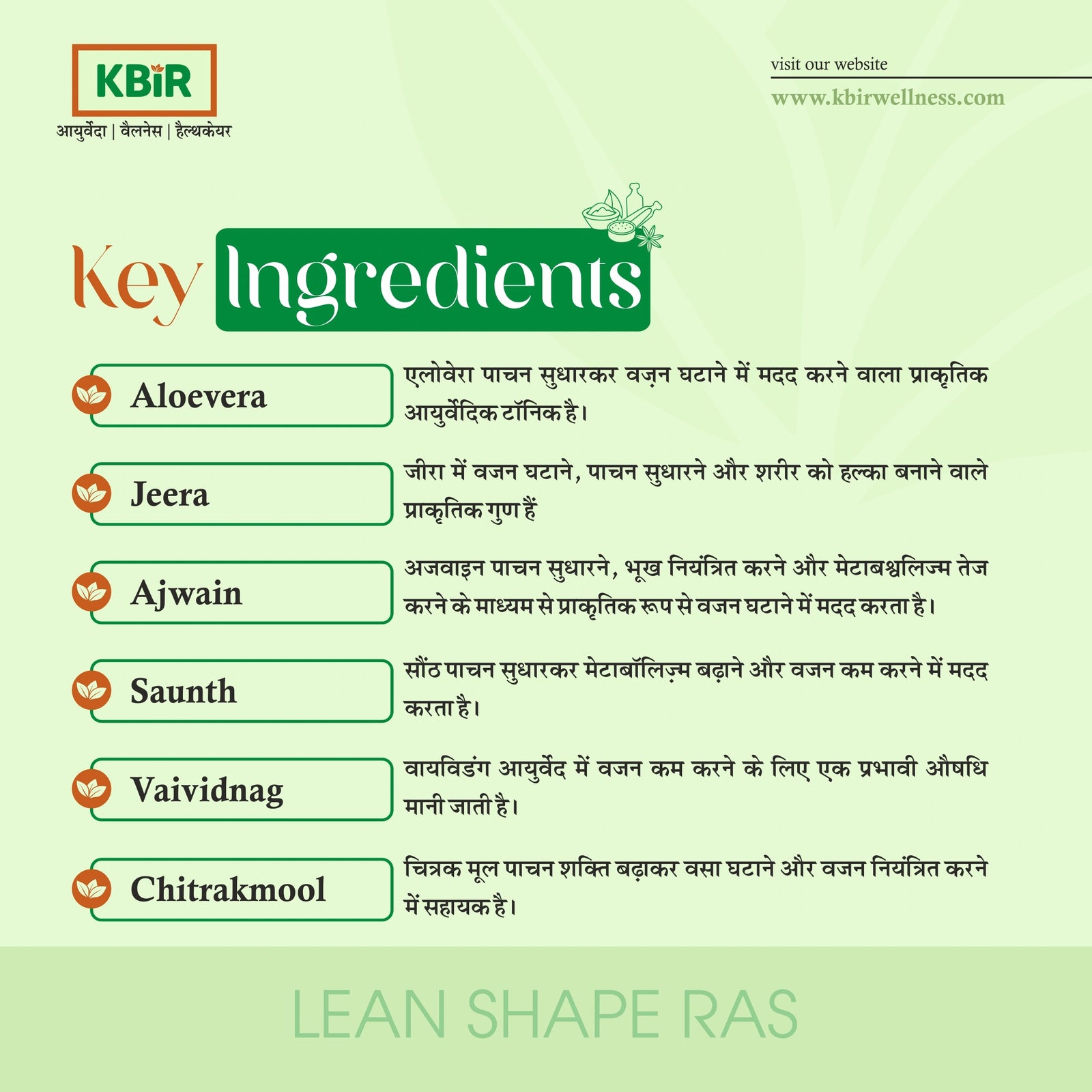 LEAN SHAPE RAS 500ML
